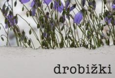 Drobižki - naslovnica